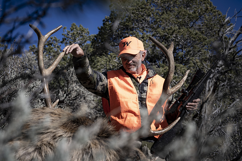 hicks with elk